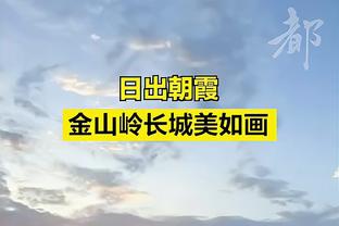 官方：里昂从博塔弗戈签下两名巴西国脚，两家俱乐部属于同一老板